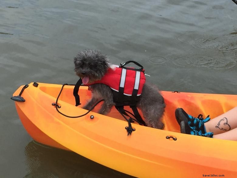 Aqua Dawg – Compagnie de kayak