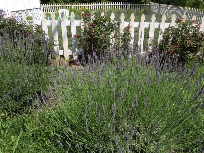 Cottage & Jardin de Lavande