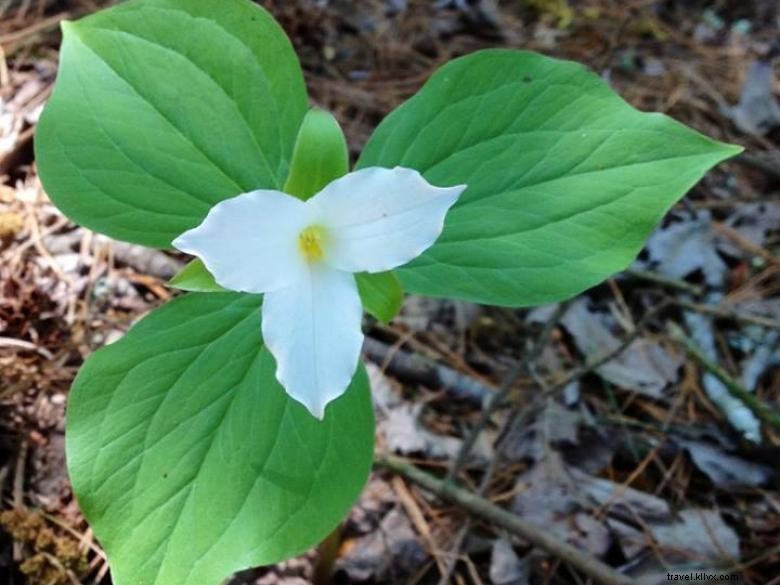 Vignoble Trillium – Salle de dégustation