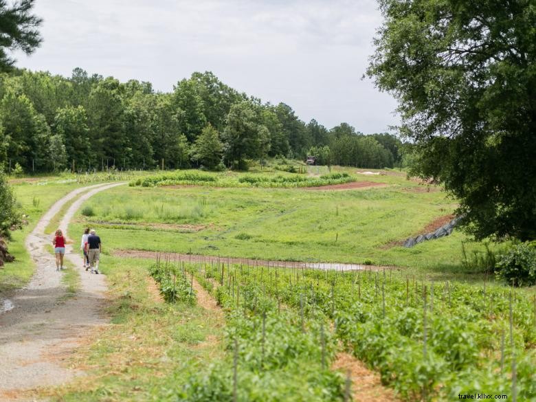 Serenbe – communauté de bien-être à la périphérie d Atlanta