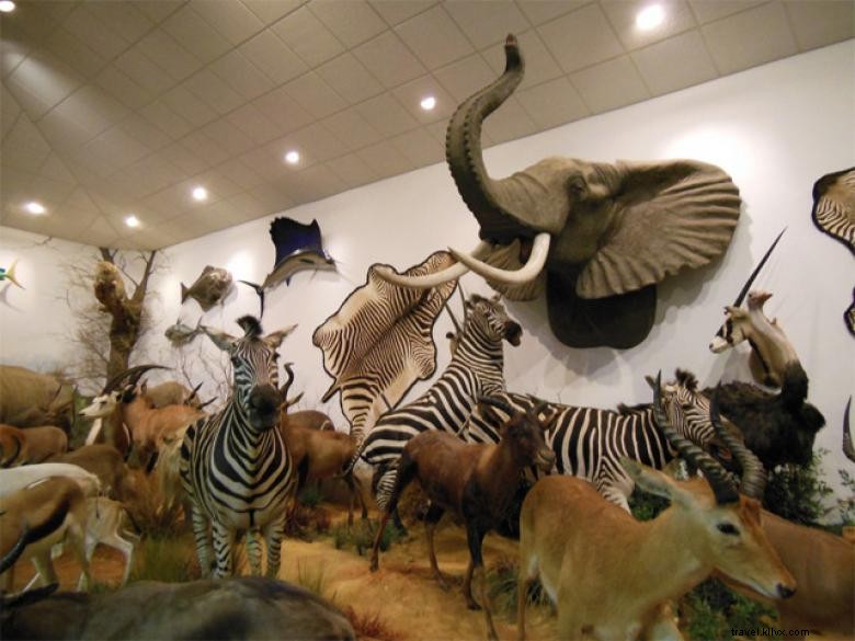 Musée de la faune de Tyson Steel