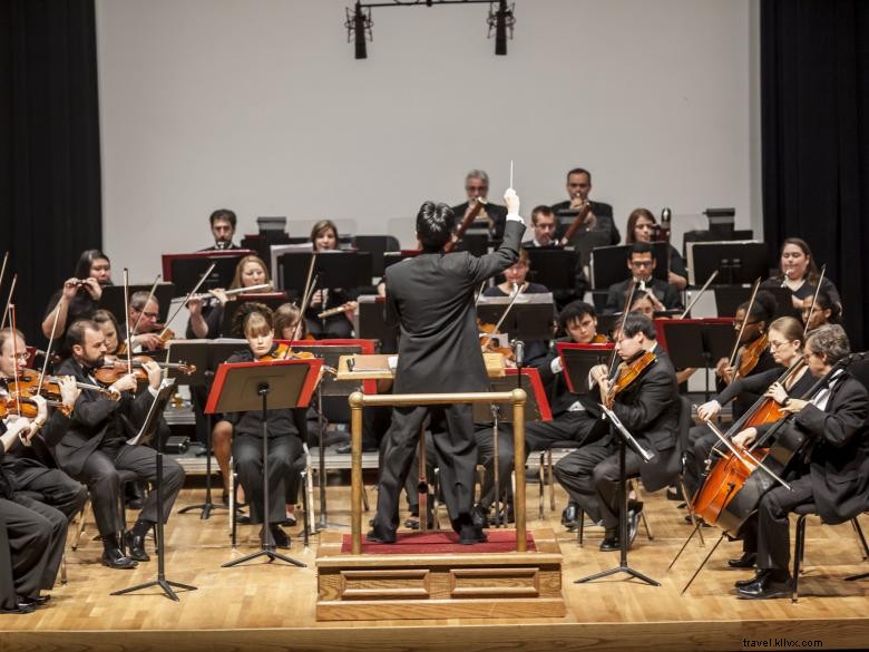 Orchestre Symphonique de Valdosta