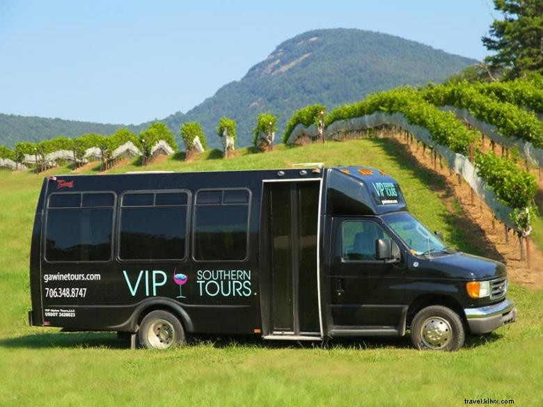 Visites VIP du Sud – Excursions vinicoles en Géorgie
