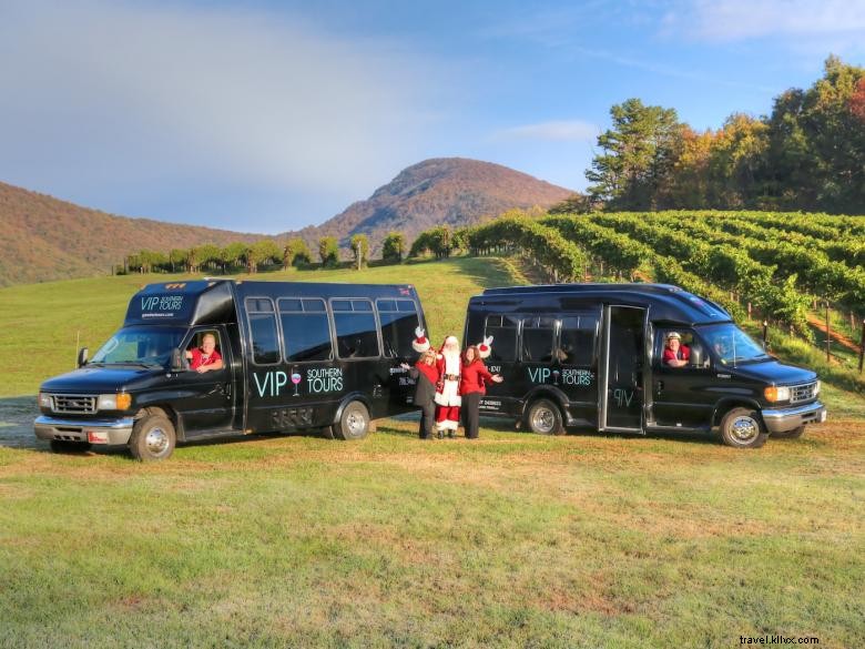 Visites VIP du Sud – Excursions vinicoles en Géorgie