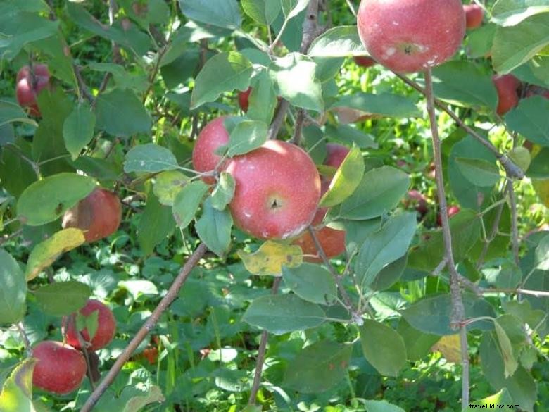 La Grange aux Pommes Rouges