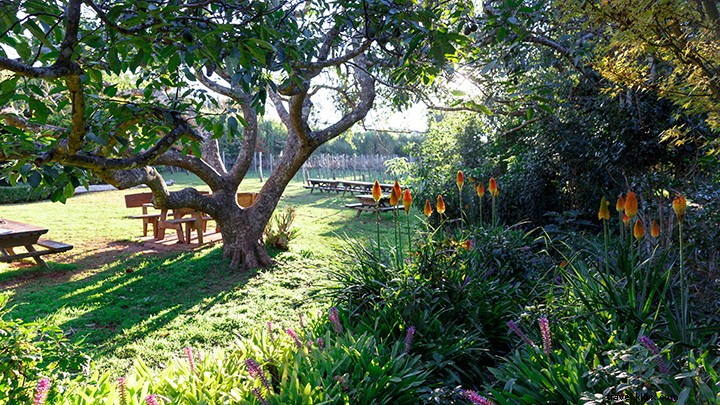 Vignobles, brasseries et distillerie du Scenic Rim
