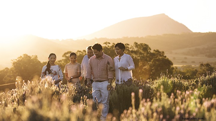 Vignobles, brasseries et distillerie du Scenic Rim