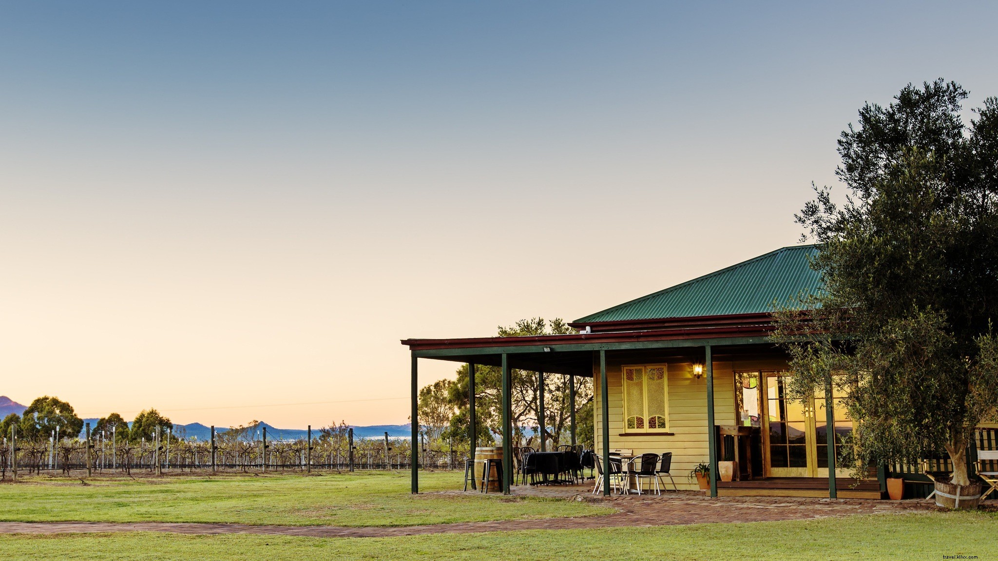 Détendez‑vous dans les vignes : les meilleurs domaines viticoles de Brisbane