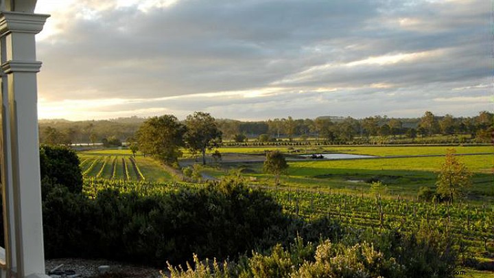 Détendez‑vous dans les vignes : les meilleurs domaines viticoles de Brisbane