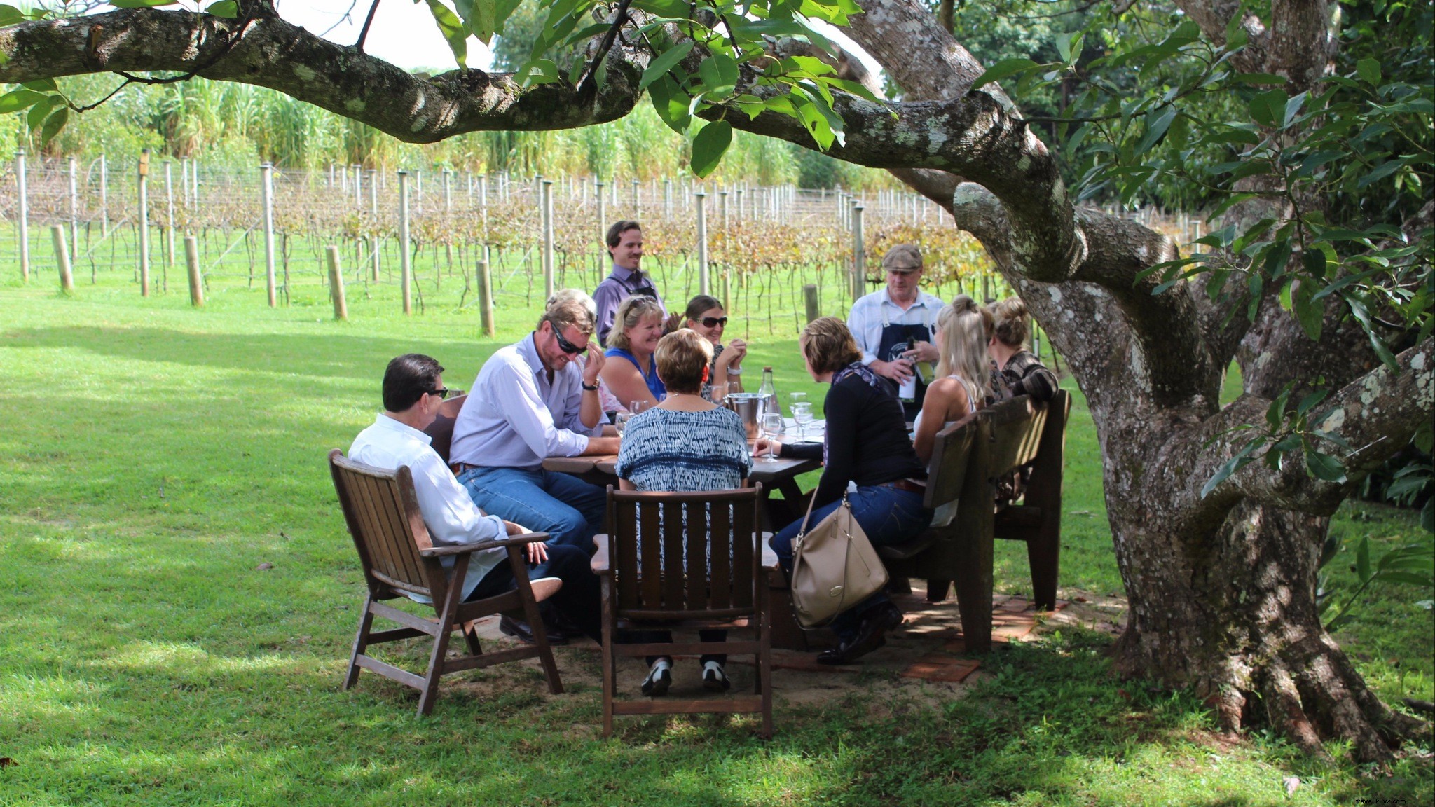Tours culinaires et dégustations de boissons autour de Brisbane