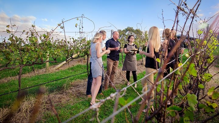 Tours culinaires et dégustations de boissons autour de Brisbane