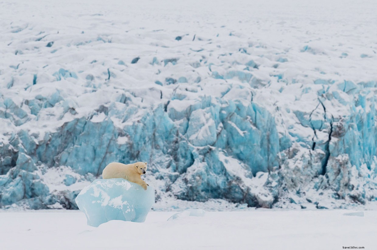 Éclipse – L’aventure photographique de Reuben Krabbe en Svalbard