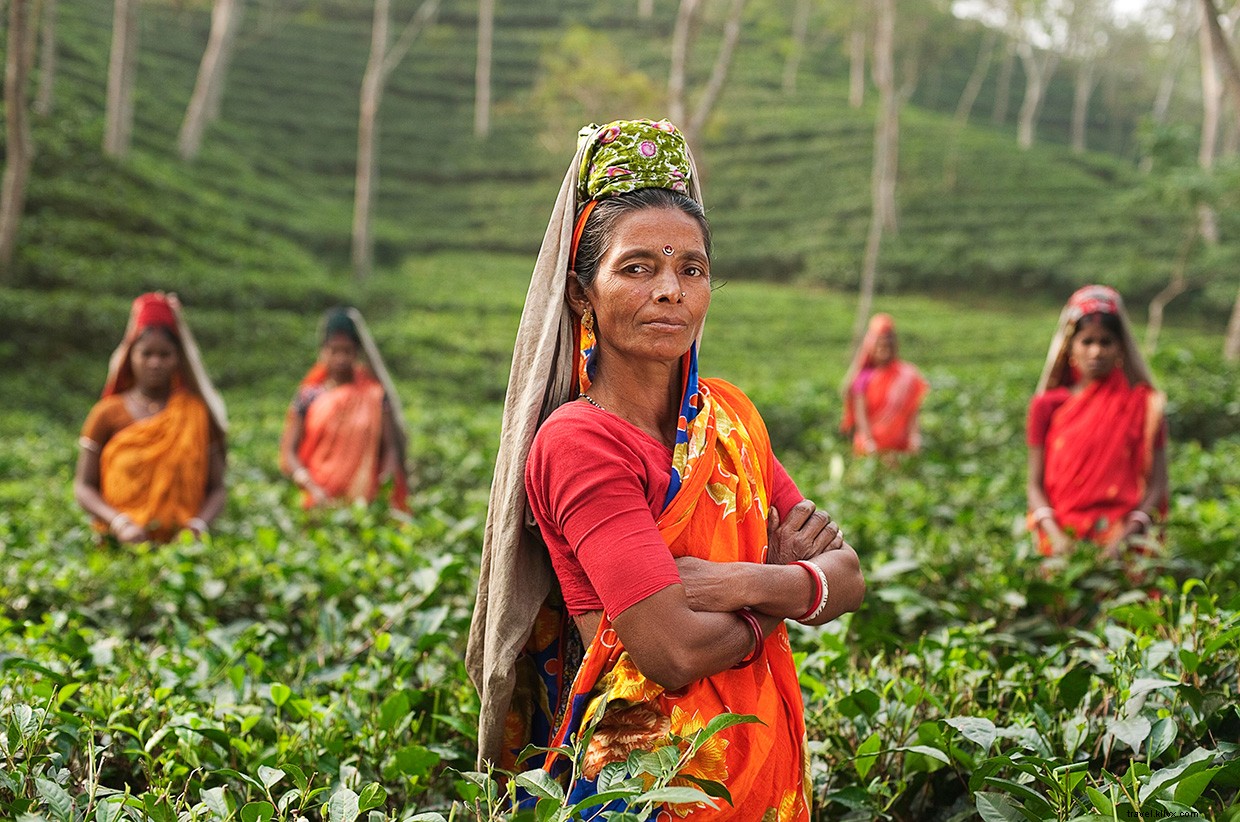Dix jours au Bangladesh
