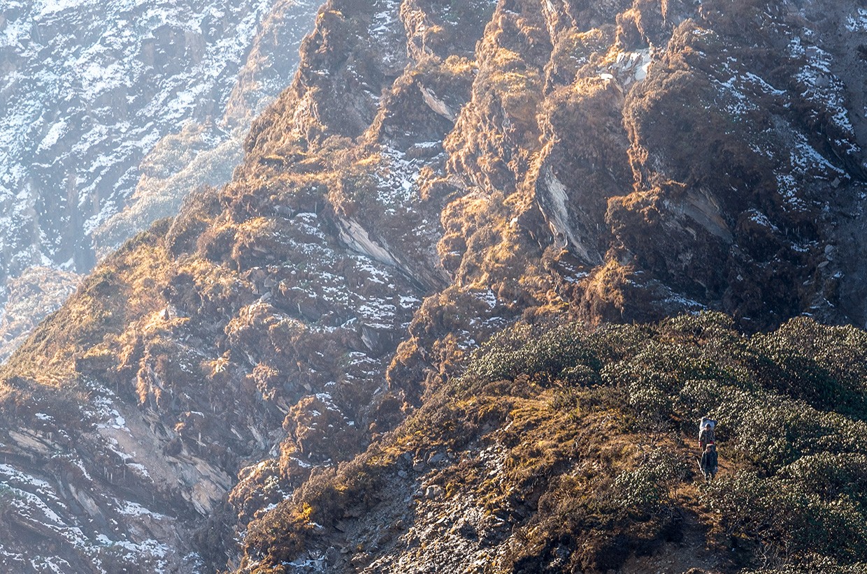 Le sentier du panda