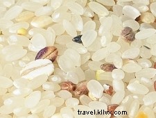 Le riz au Japon : variétés, produits et traditions