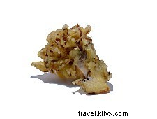Tempura – beignets légers de fruits de mer et légumes