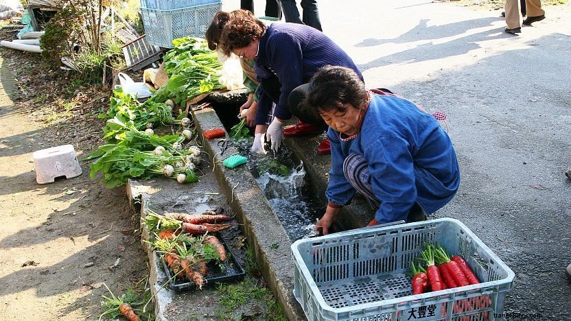 Guide culinaire de Kyoto